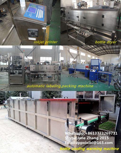 Cadena de leche del vidrio de embotellado de producción aséptico de la máquina/del embotellamiento categoría alimenticia SS304 4